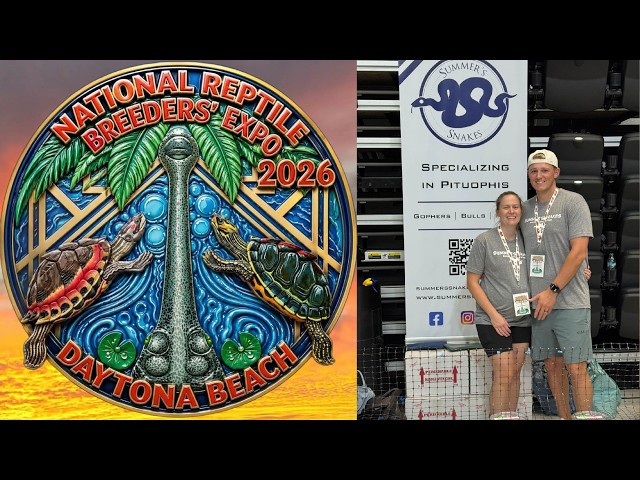 Daytona Reptile Show!