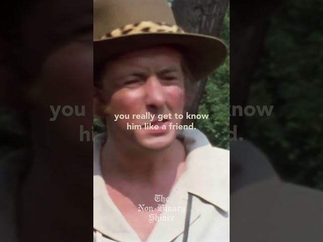 Mosquito Hunters | Monty Python's Flying Circus #montypython #flyingcircus