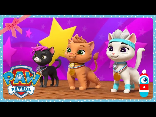 Paw Patrol - Cat and Mouse Friendship | WildBrain Zoo | Cartoons for Kids