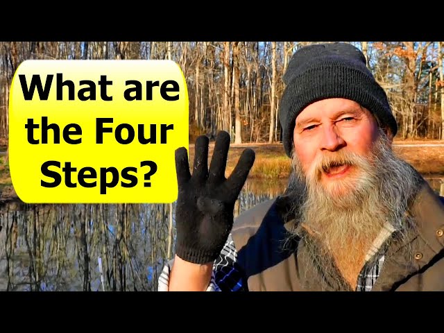 4 Steps to Self-sufficient Living and Leaving Society