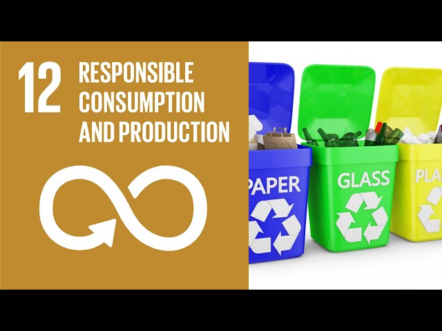 UN Sustainable Development Goals | Responsible Consumption and Production (12)