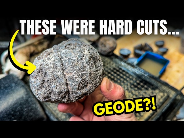I Bought Coconut Geodes off the Internet... Disappointing or Amazing?