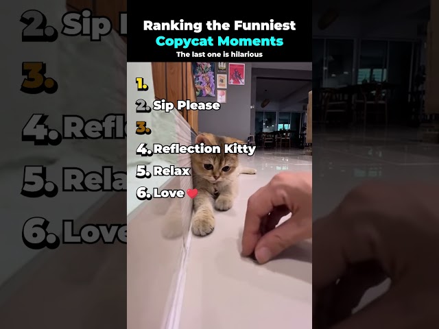 Ranking the Funniest Copycat Moments