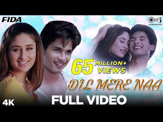 Dil Mere Naa Aur Intezaar | Fida |Shahid Kapoor, Kareena Kapoor,Udit Narayan, Alka Yagnik, Anu Malik