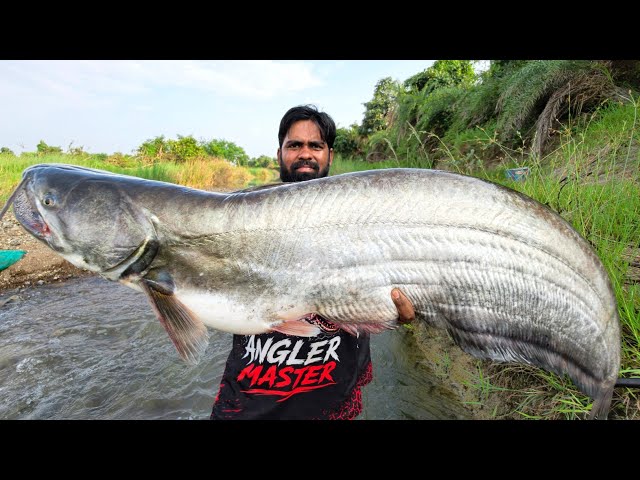 Monster Epic Fish Hunting | Big Wallago Patan Fishing | Spoon Fishing Tips | Pathan Fishing 