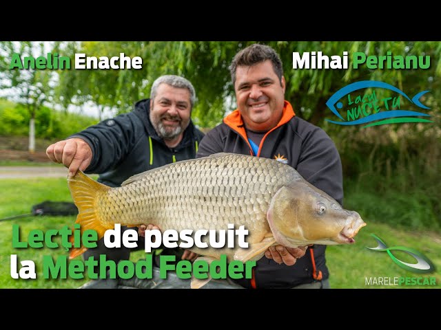 Scoala de Method Feeder cu Anelin Enache si Mihai Perianu | Lacul Nucetu | MarelePescar