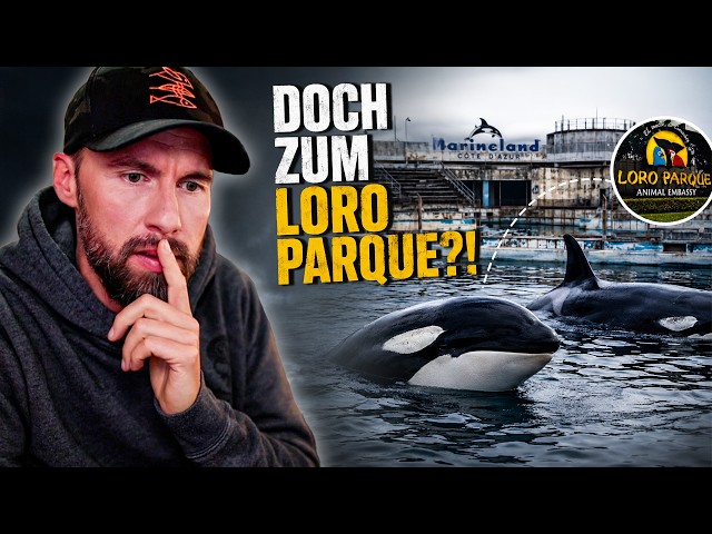 Die SCHLIMMSTE Option? Wikie & Keijo sollen DOCH in den Loro Parque! | Robert Marc Lehmann