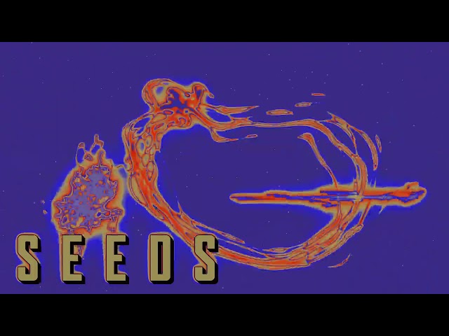 Ouzo Bazooka // Seeds