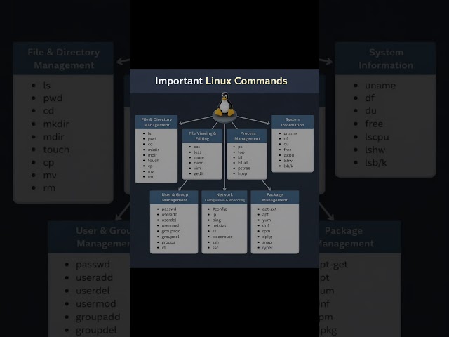 Important Linux Command