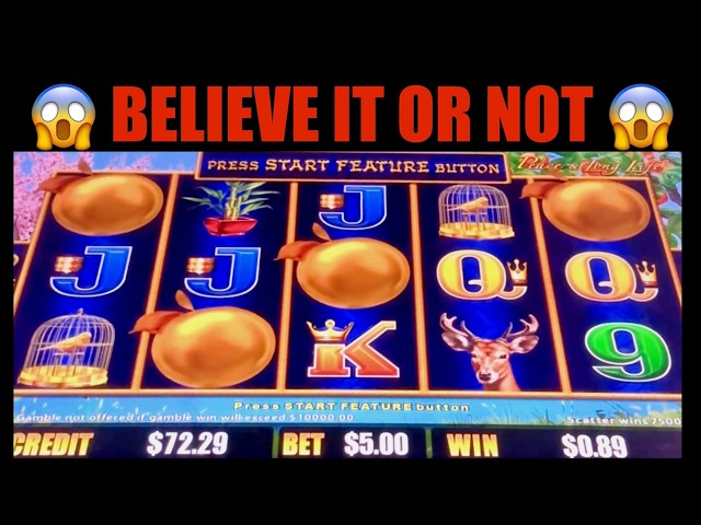 😱 BELIEVE IT OR NOT 😱 PEACE & LONG LIFE DRAGON LINK SLOT MACHINE 🎰