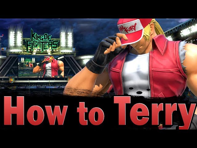Smash Ultimate: How to Terry