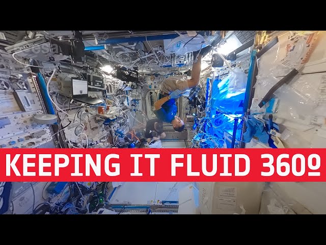 Keeping it fluid(ics) | Cosmic Kiss 360°