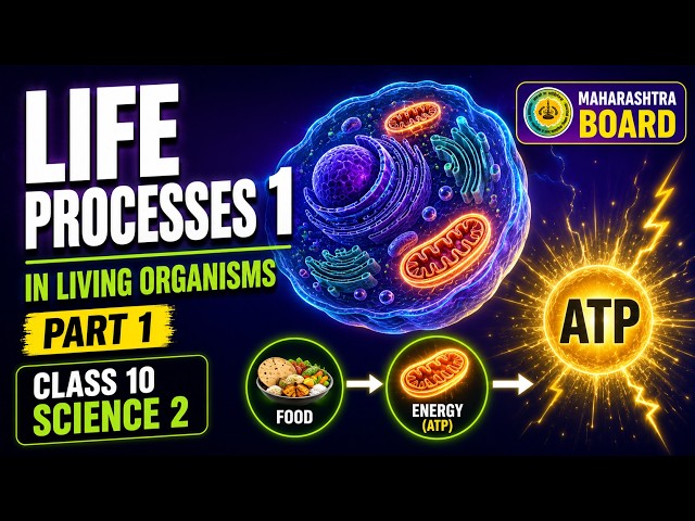 Life Processes in Living Organisms Part 1 Class 10 Science 2 Chapter 2 | Maharashtra Board Animated