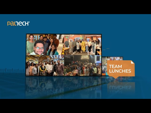 What happened at PalTech in the first half of 2026