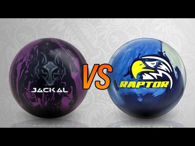 Sky Raptor vs Jackal Ghost