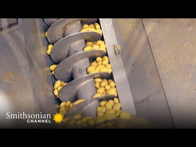 Making Factory Mashed Potatoes is a Highly Automated Process 🥔 Inside the Factory | Smithsonian
