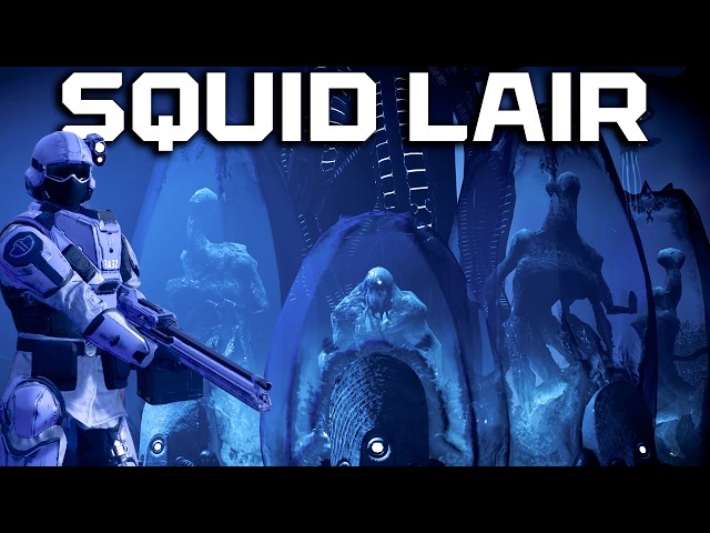 Good Loadout for Infiltrating Squid Lair SOLO - Max Difficulty