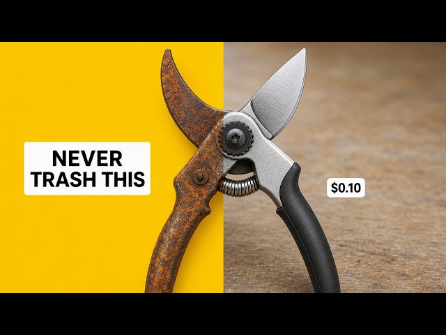 11 Rusty Things Around Your Home You Should NEVER Throw Away — Restore Them for Pennies