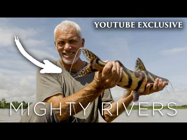 A Fish With Tentacles On Its Tail?! | Unseen Footage | Mighty Rivers