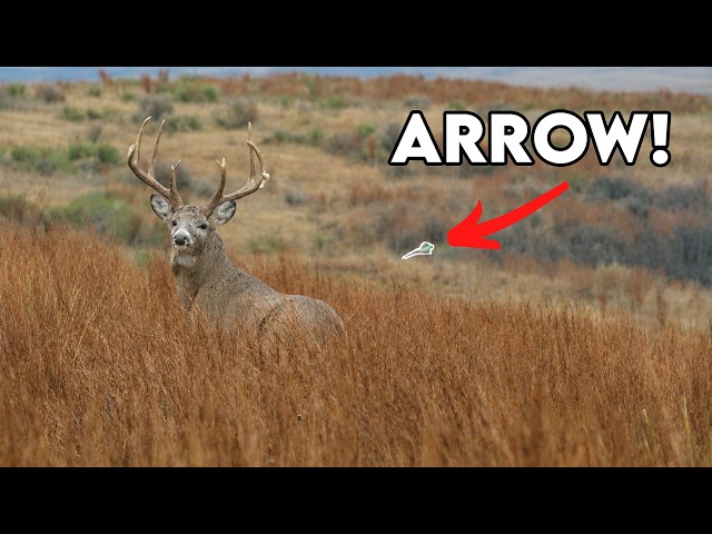 K.C.'s Biggest Buck Ever!