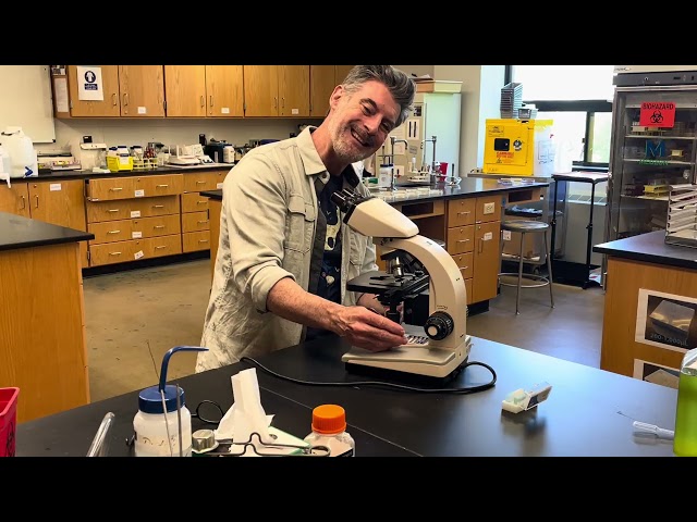  Basics of Focusing a Compound Microscope