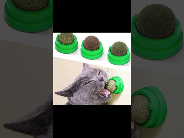 Stick-On Catnip Ball – Wall-Mounted Lick Toy & Healthy Treat for Active Cats
