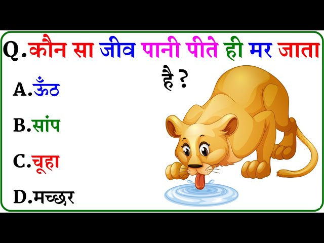 GK Question || GK In Hindi || GK Question and Answer || GK Quiz ||