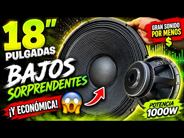 NEW 18" SPEAKER, AFFORDABLE BUT POWERFUL!!!!🔊😲