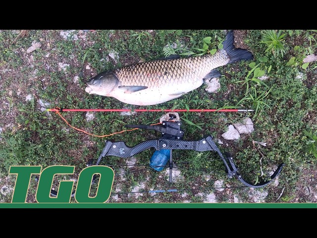 SUMMER 2026 BOWFISHING Tex Grebner Outdoors