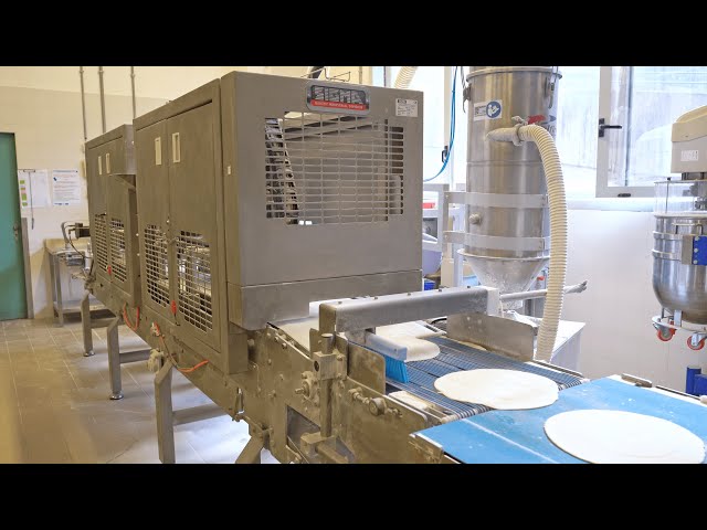 Industrial production line for pizza - Linea industriale per la pizza