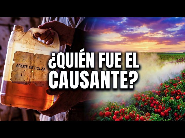 ¿ACEITE DE COLZA? El misterio del Síndrome Tóxico de 1981