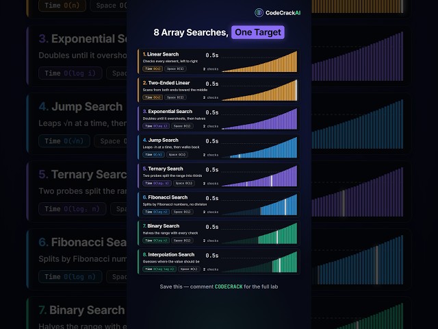 8 Search Algorithms, One Target: Which One Finds It First?