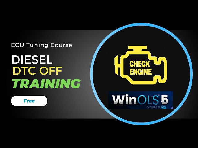 How to Remove Diesel ECU Fault Codes by ECU Remapping | WinOLS DTC OFF Training Course