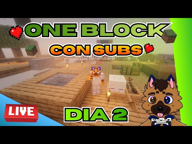 Jugando MINECRAFT ONEBLOCK CON SUBS DÍA 2 Derrotando El ENDER DRAGON!!!