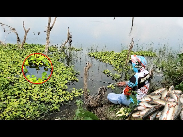 How to float fishing P2 || rohu fishing cutting and cooking | single hook fishing