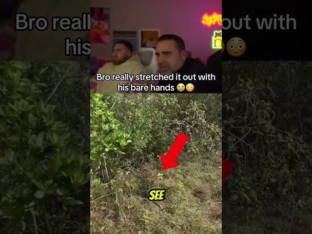 Los and his Dad react to the outdoor boys going python hunting 😳 #LosPollosTV #lospollostvdad