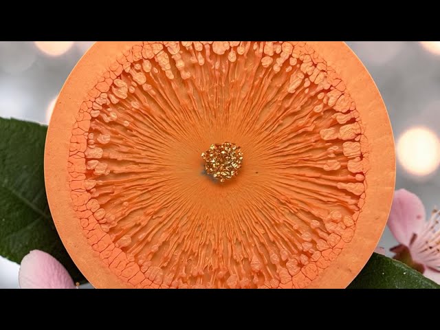 #500 Apricot Heavy Web Effect Tutorial in Epoxy Resin