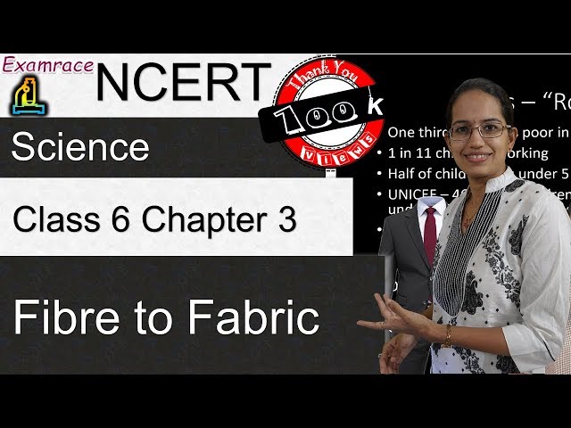 NCERT Class 6 Science Chapter 3: Fibre to Fabric (NSO/NSTSE/Olympiad) | English doorsteptutor.com