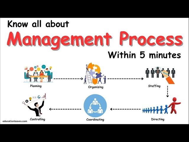 Management Process | Functions of Management process #managementprocess