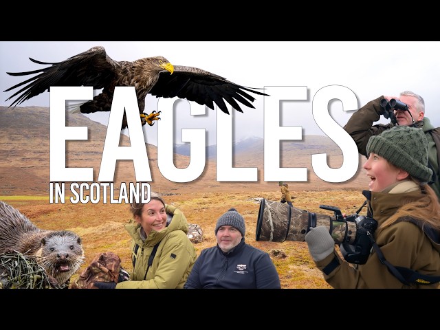 10-Year-Old Wildlife Photographer Searches for Wild Eagles in Scotland!