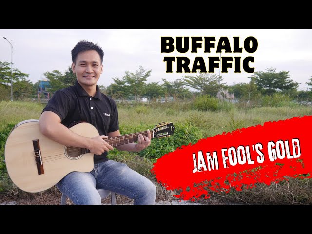 Guitar Tutorial Buffalo Traffic Jam Fool's Gold