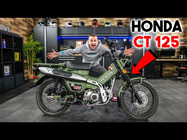 I BOUGHT a Brand NEW HONDA CT125 Hunter Cub from JAPAN!