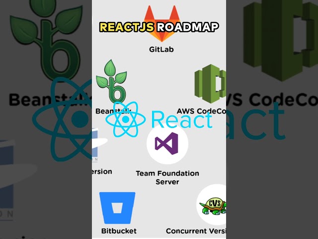 ReactJS : Front End Developer Roadmap from Novice to Expert