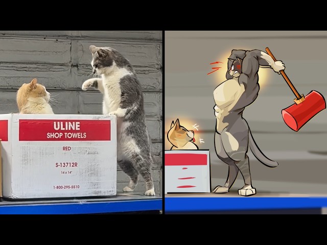 This Cat Tries To Look Innocent