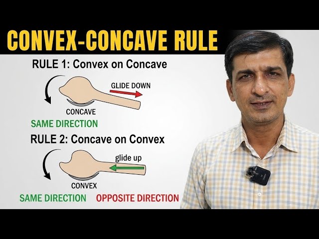 convex–concave rule in joint mobilization (Maitland/Kaltenborn):