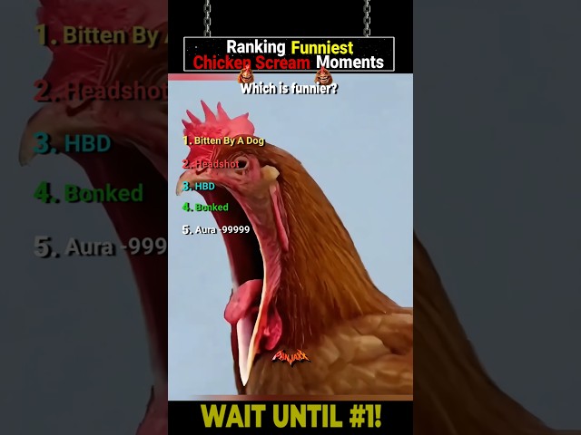 Ranking funniest chicken screaming moments 🐔😁🤣