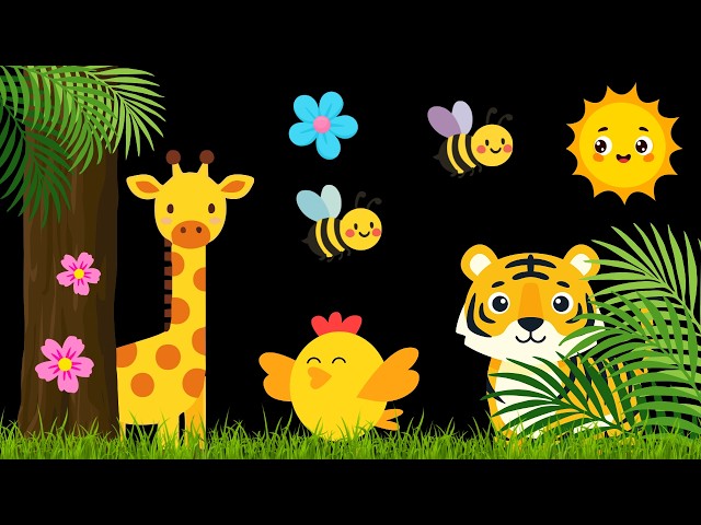 Baby Sensory Video – Newborn Visual Stimulation – Sensory Videos for Babies - Tummy Time #baby