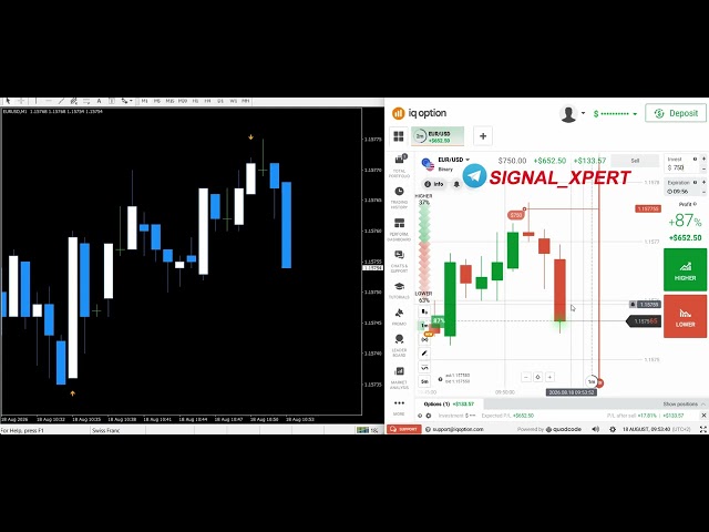 🔥 BINARY OPTIONS FOR BEGINNERS 2026 | Easy MT4 Indicator Strategy