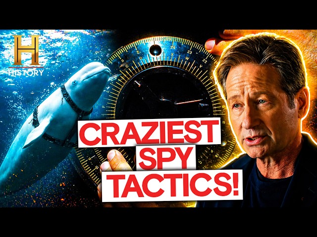 Secret Intelligence Stories You Won’t Believe (S2) | Secrets Declassified with David Duchovny