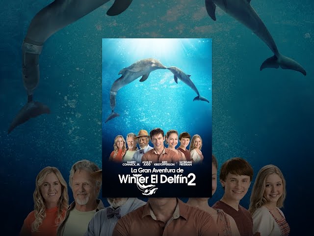 La Gran Aventura De Winter El Delfín 2